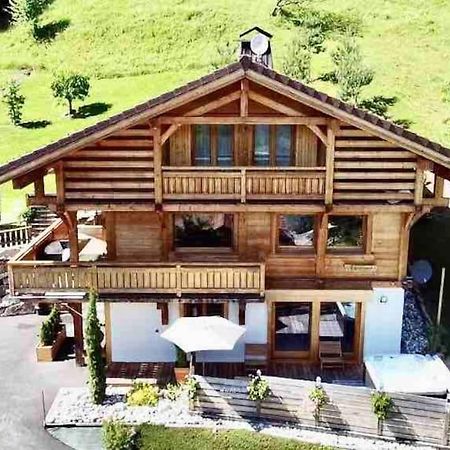 Androsace Appartement Dans Chalet Bois Avec Jacuzzi Privatif Terrasse Et Vue Montagne Les Villards-sur-Thônes Екстериор снимка
