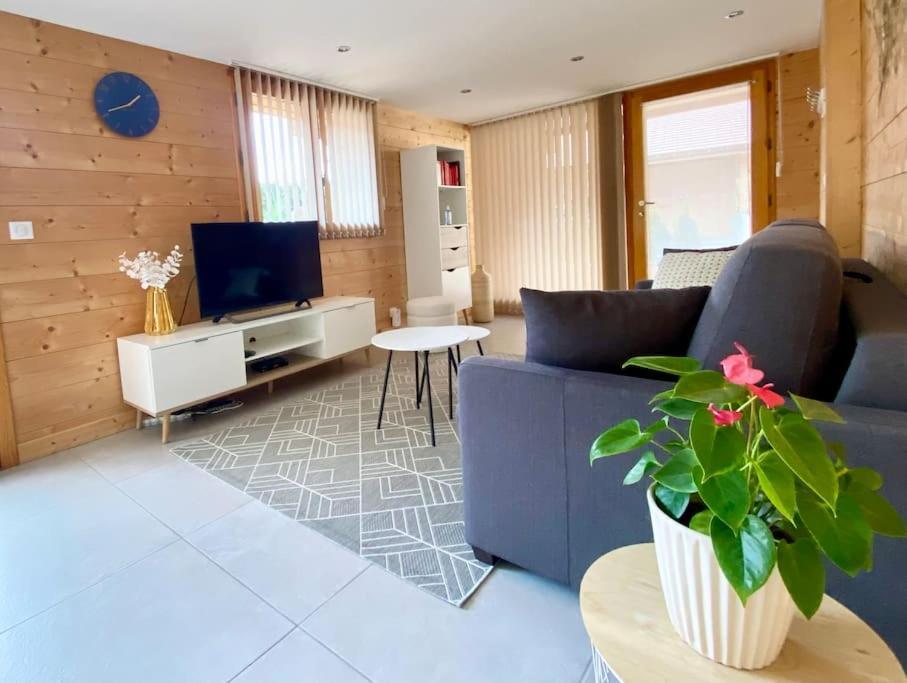 Androsace Appartement Dans Chalet Bois Avec Jacuzzi Privatif Terrasse Et Vue Montagne Les Villards-sur-Thônes Екстериор снимка