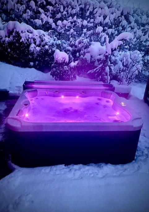 Androsace Appartement Dans Chalet Bois Avec Jacuzzi Privatif Terrasse Et Vue Montagne Les Villards-sur-Thônes Екстериор снимка