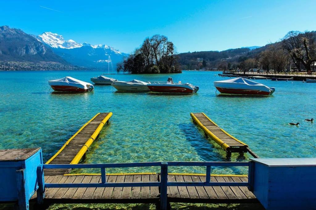 Androsace Appartement Dans Chalet Bois Avec Jacuzzi Privatif Terrasse Et Vue Montagne Les Villards-sur-Thônes Екстериор снимка
