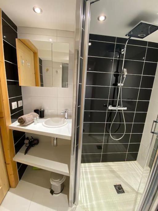 Androsace Appartement Dans Chalet Bois Avec Jacuzzi Privatif Terrasse Et Vue Montagne Les Villards-sur-Thônes Екстериор снимка